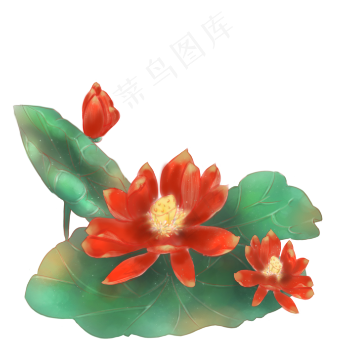 中国风红色荷花荷叶