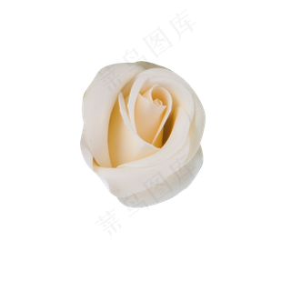 一个唯美粉色花朵素材