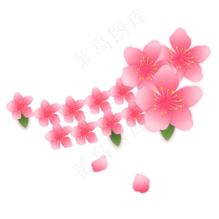 樱花春季花季粉色花花,免抠元素(2000X2000(DPI:300))psd模版下载