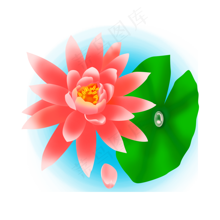 卡通粉色莲花免扣