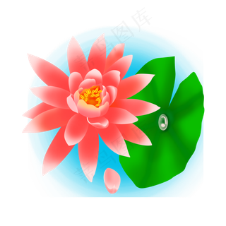 卡通粉色莲花免扣