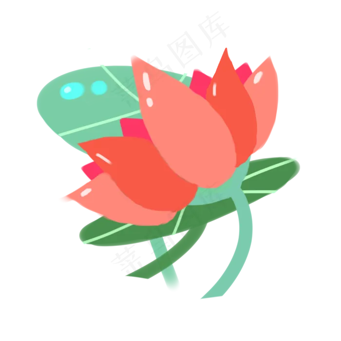 彩色荷花图案插图(2500X2500(DPI:300))psd模版下载