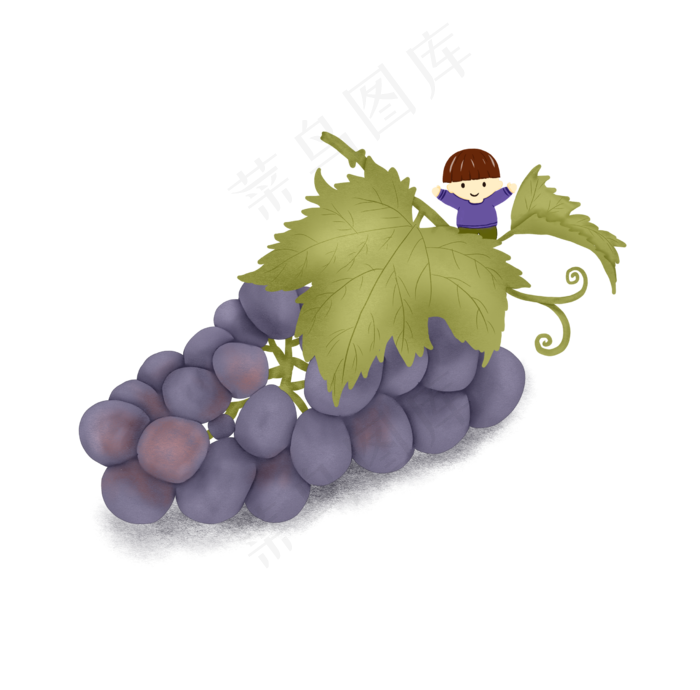 秋冬水果蓝紫色葡萄(2480X3507(DPI:300))psd模版下载