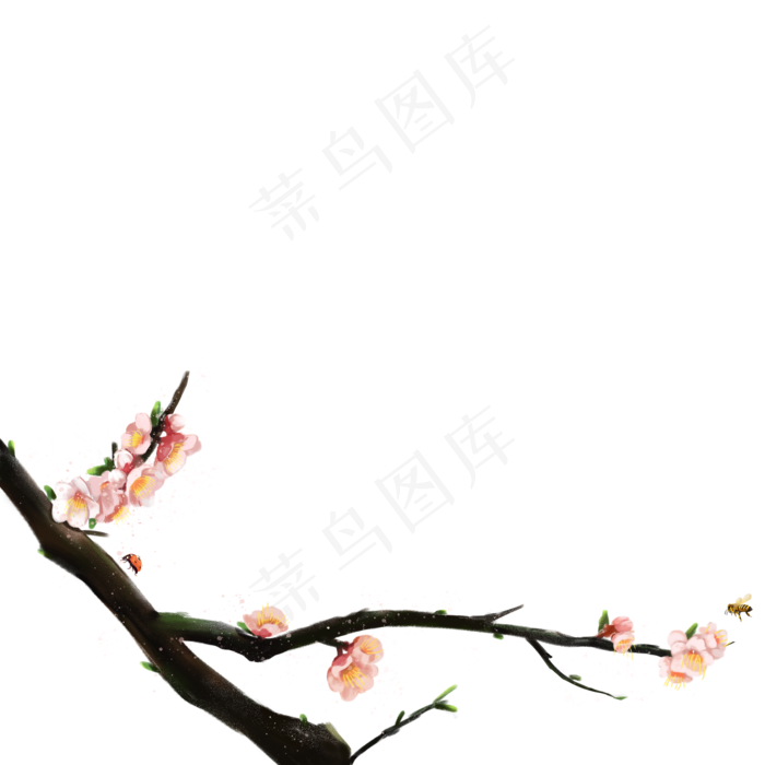 一支盛开的桃花树(2000X2000(DPI:300))psd模版下载