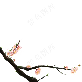 一支盛开的桃花树