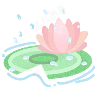 粉色的荷花荷叶