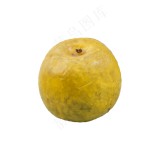 梨（png免抠）