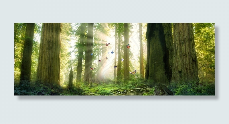 春天质感树木背景2