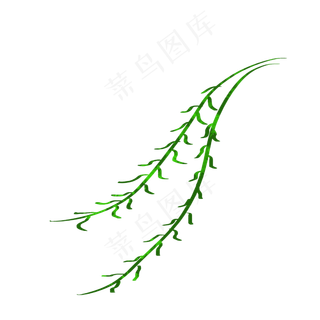 柳树树枝卡通肌理扁平风
