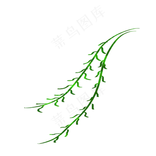 柳树树枝卡通肌理扁平风