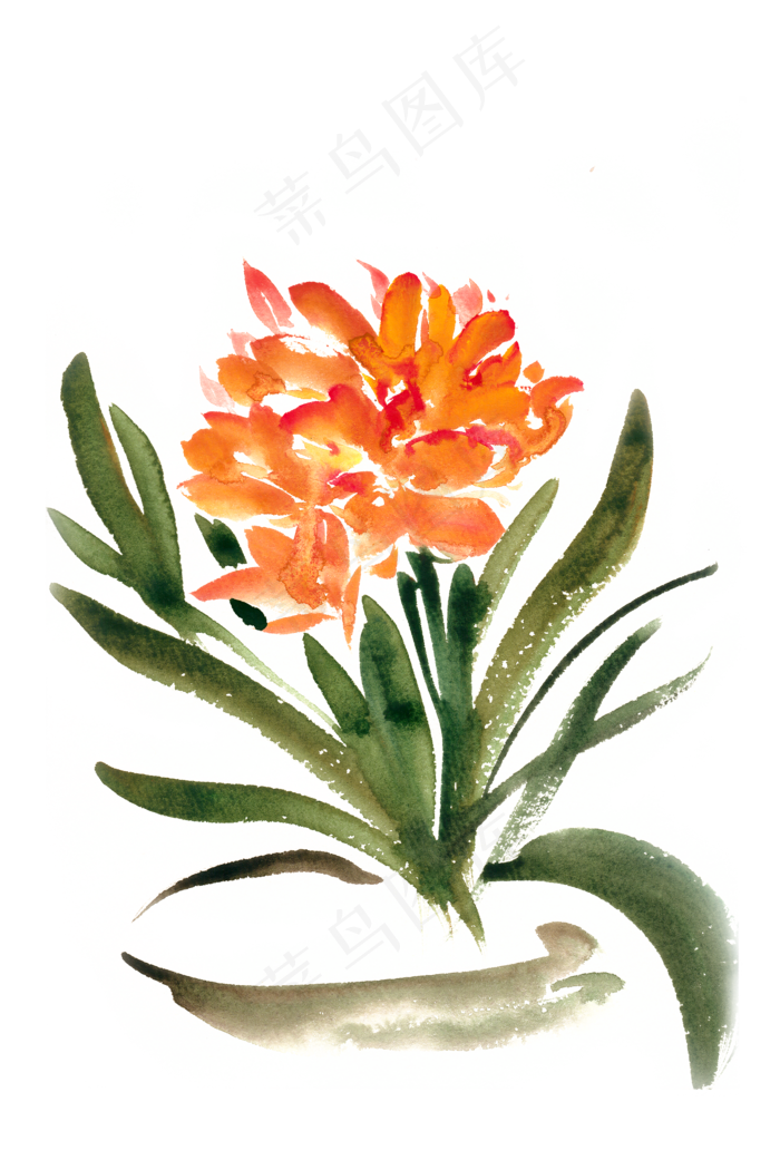 红艳艳的花水彩画PNG免抠素材(4724X7087(DPI:300))psd模版下载