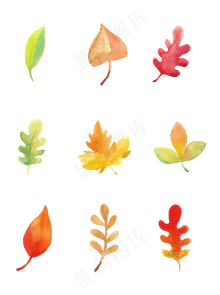9款水粉风格秋季枫叶元素,免抠元素