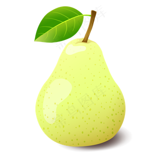 梨子植物种植水果生长绿色