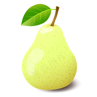 梨子植物种植水果生长绿色