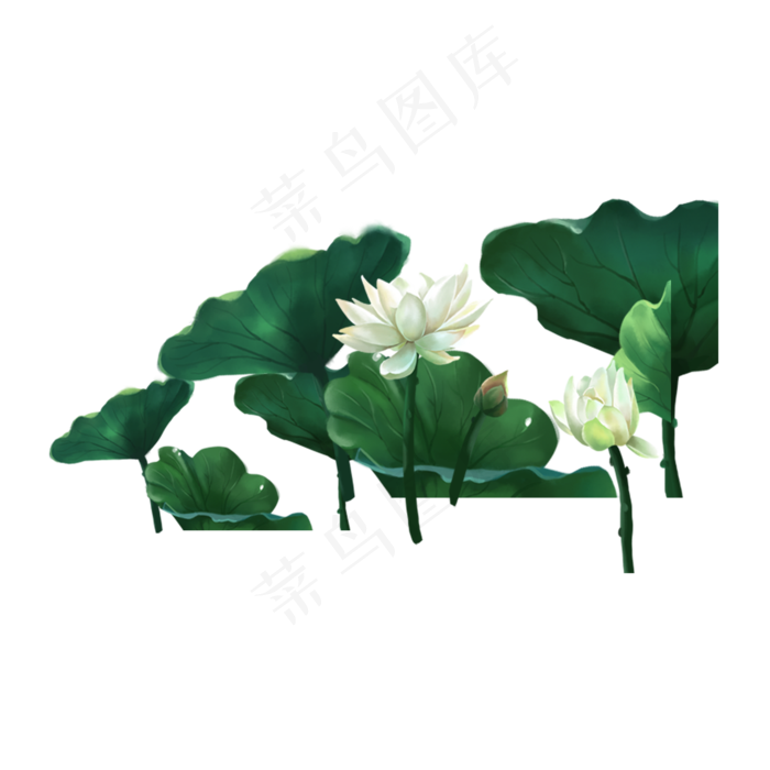 纯洁的荷花(2000X2000(DPI:300))psd模版下载