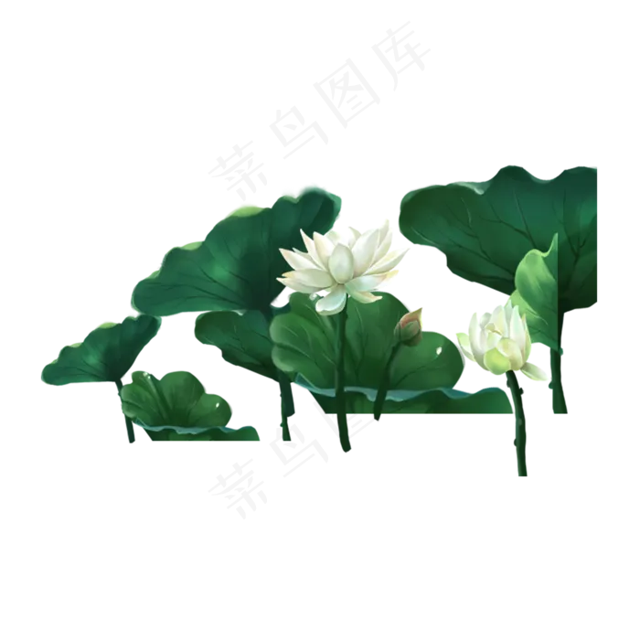 纯洁的荷花(2000X2000(DPI:300))psd模版下载