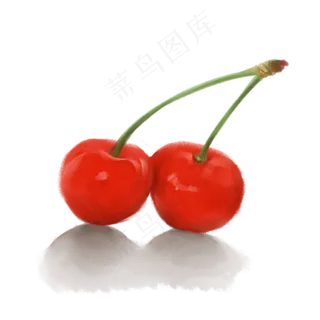 两只茂盛的水果樱桃