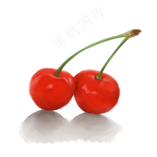 两只茂盛的水果樱桃