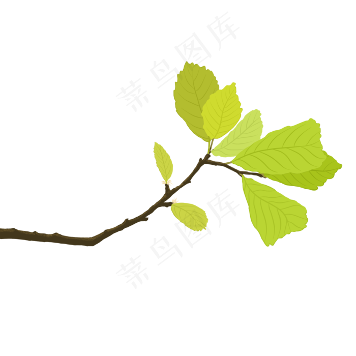 植物类绿植嫩叶手绘(2000X2000(DPI:300))psd模版下载
