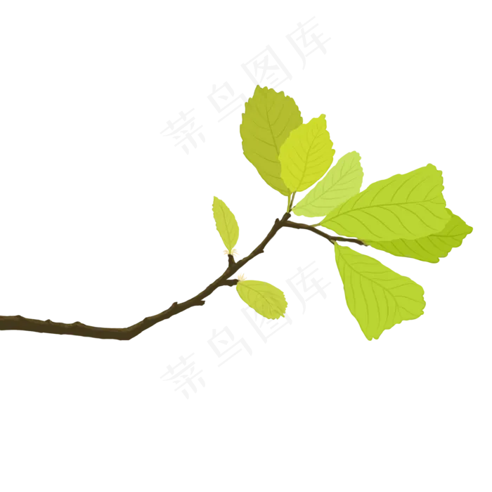 植物类绿植嫩叶手绘(2000X2000(DPI:300))psd模版下载