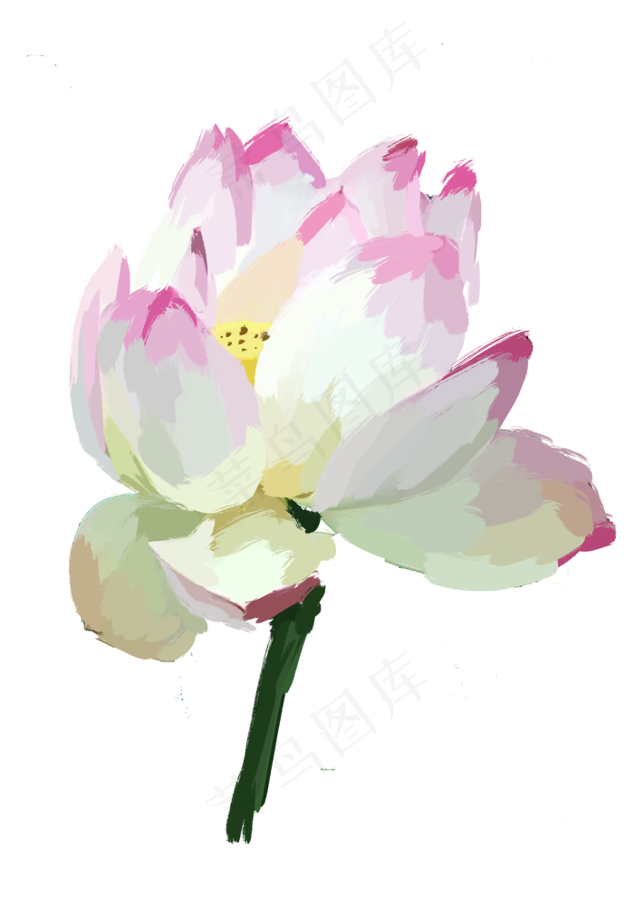 夏天写实荷花免抠图