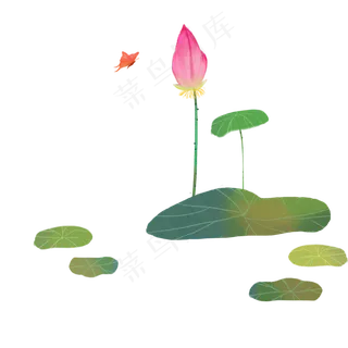 夏天手绘荷花荷叶小清新