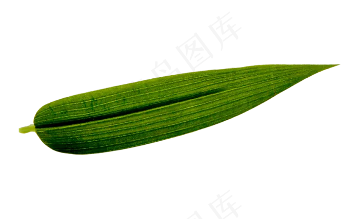 绿色竹叶叶片(3000X3000(DPI:300))psd模版下载