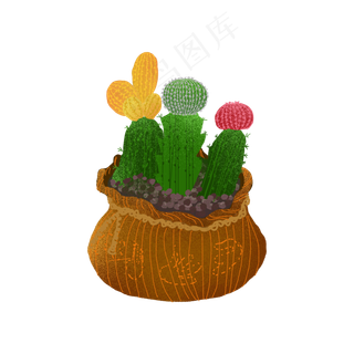 植物元素仙人掌,免抠元素