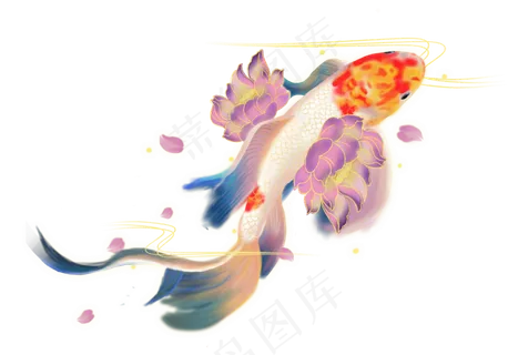荷花锦鲤图
