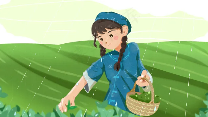 谷雨下雨天女孩采茶叶图(2880X1620(DPI:299))psd模版下载