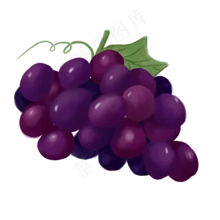 食物类水果葡萄手绘