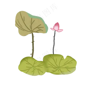 中国风夏日荷塘荷花
