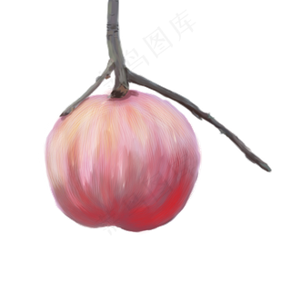 一个红色的苹果挂在树枝上