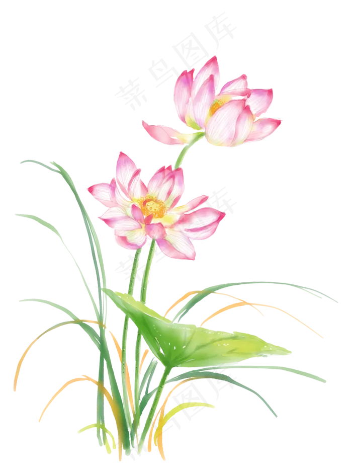 国画水墨彩色荷花,免抠元素(2048*2732px 300 dpi )psd模版下载