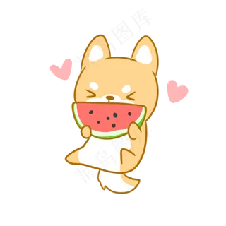 啃西瓜的小柴犬