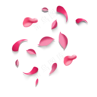 漂浮红色玫瑰花瓣