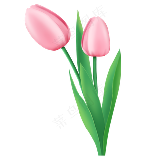 春天粉色花卉郁金香免抠