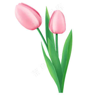春天粉色花卉郁金香免抠