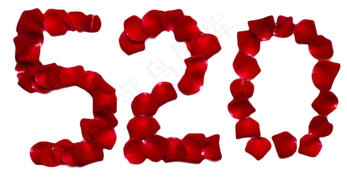 红色玫瑰花花瓣(1616X841(DPI:300))psd模版下载