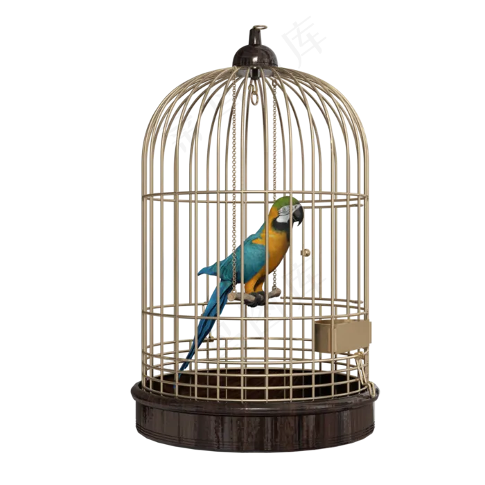 关在笼子里的鹦鹉,免抠元素(3000X3000(DPI:72))psd模版下载