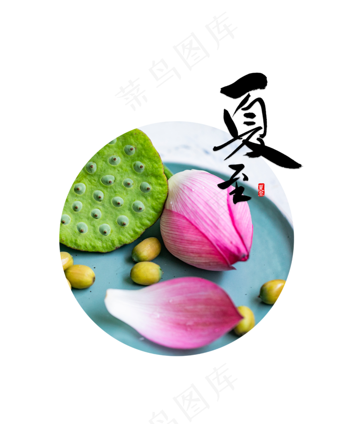 夏至荷花莲蓬(2500X3000(DPI:300))psd模版下载