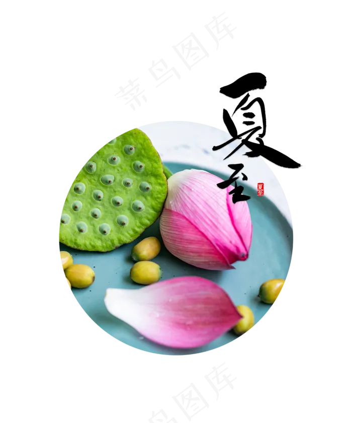 夏至荷花莲蓬(2500X3000(DPI:300))psd模版下载