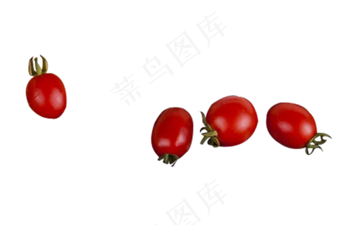 多个新鲜圣女果矢量图