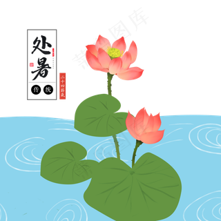 手绘绿色荷叶处暑