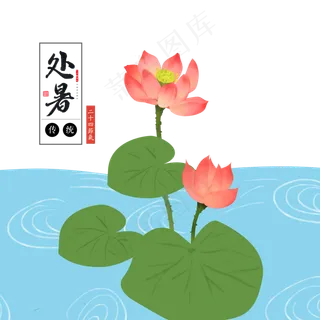 手绘绿色荷叶处暑