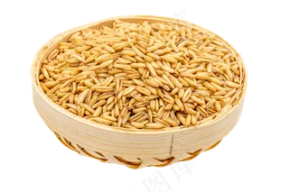 一小盆燕麦,免抠元素