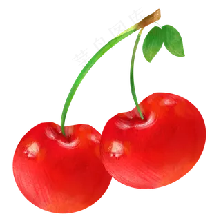 新鲜的樱桃水果