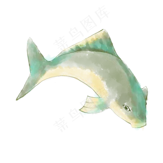 鱼大暑商用元素 鱼大暑商用元素