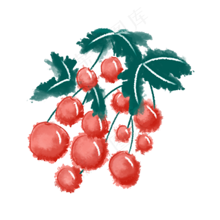 采摘茂盛的水果樱桃