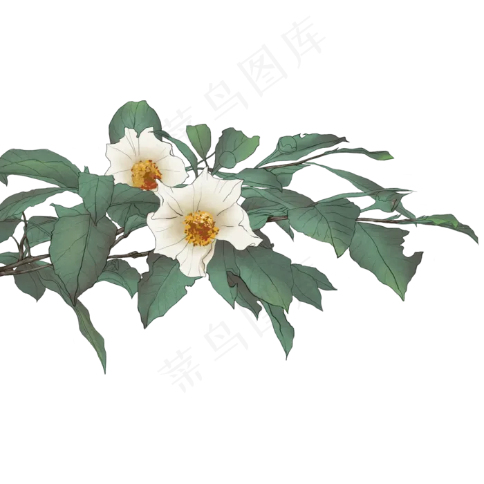 古风白色花朵免抠(2000X2000(DPI:300))psd模版下载